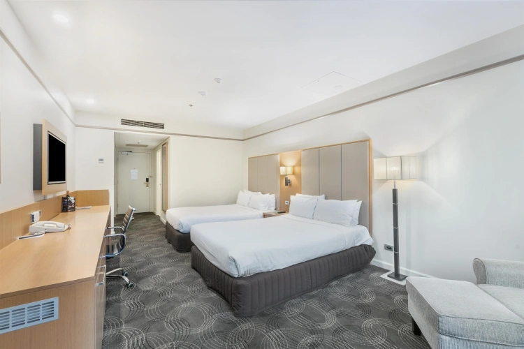 Superior Twin room with park view