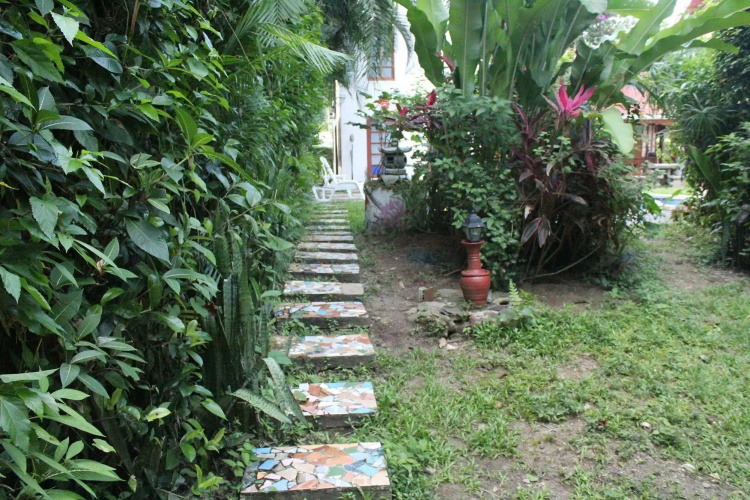 The Lotus Garden