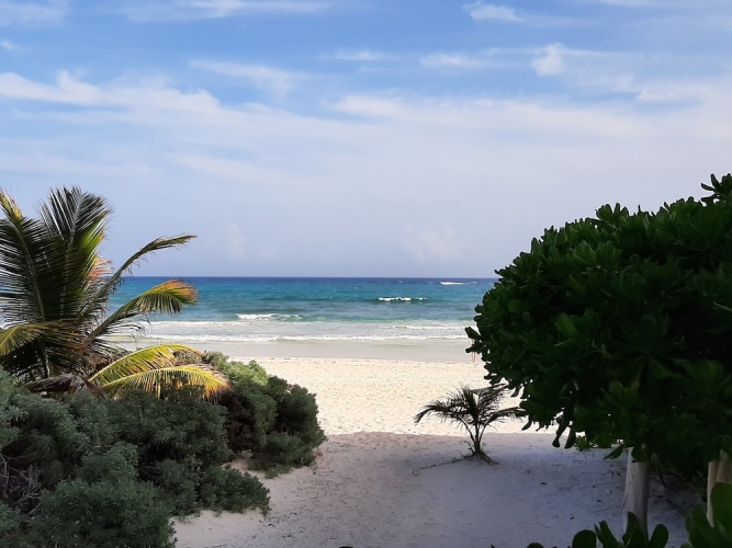 Hotel Roc Luxe Tulum - Adults Only photo 16