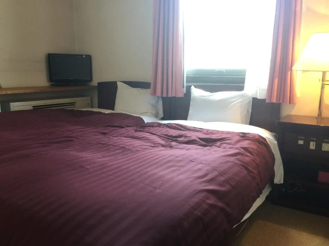 Standard Twin room with mountain view