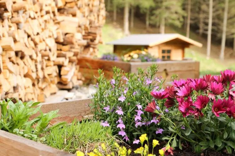 Chalet Nel Doch Villa Cheia