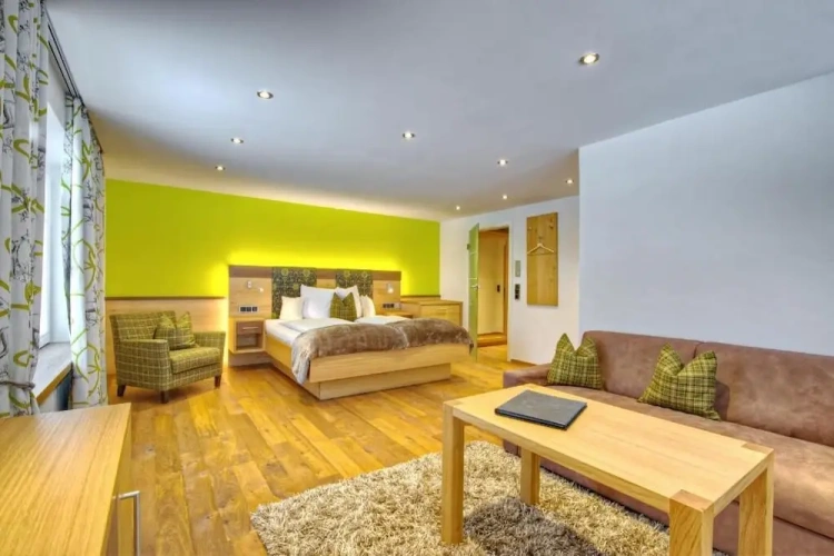 Studio with balcony and with garden view