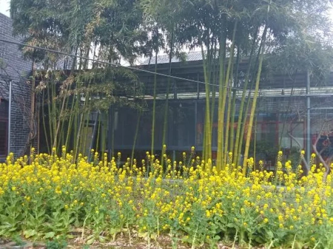 Outside