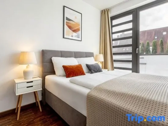 1 Bedroom Apartment