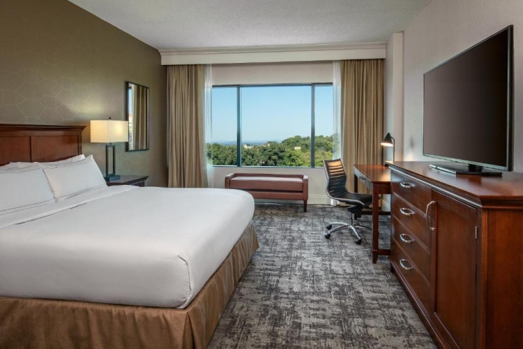 1 Bedroom Double Suite