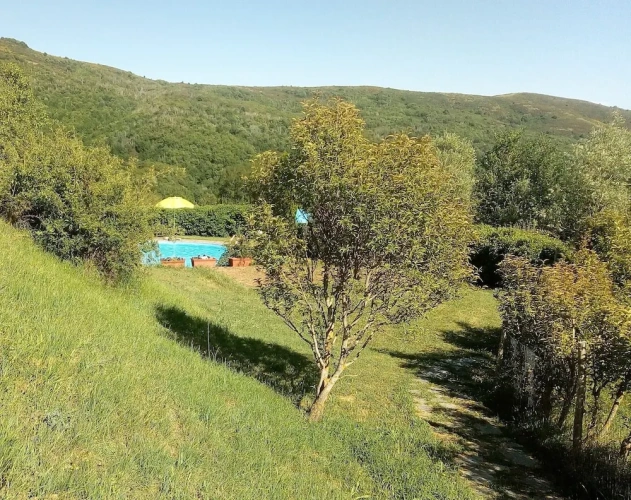 2 Bedrooms Apartment with garden view