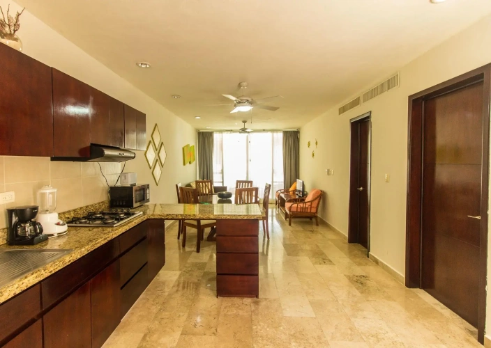 1 Bedroom Apartment