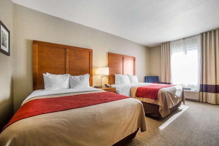 Standard Quadruple room