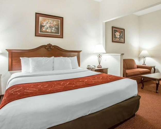 1 Bedroom Suite
