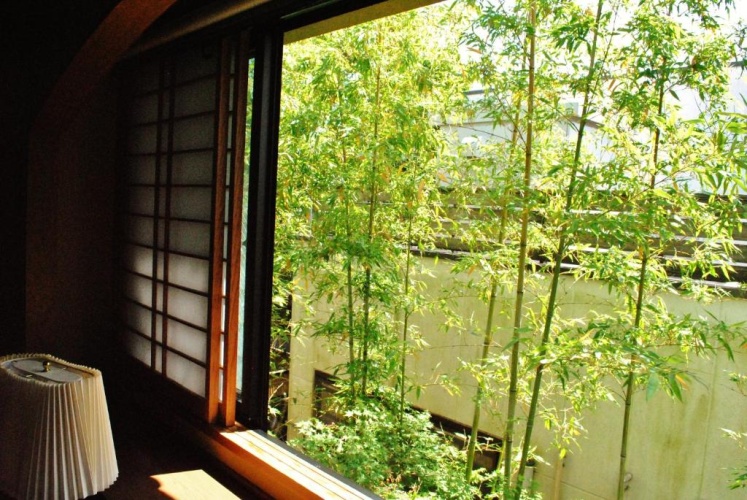 Standard Twin room with view
