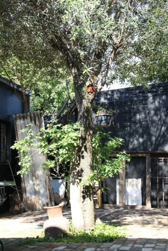 The Cottage at 32 Chiswick