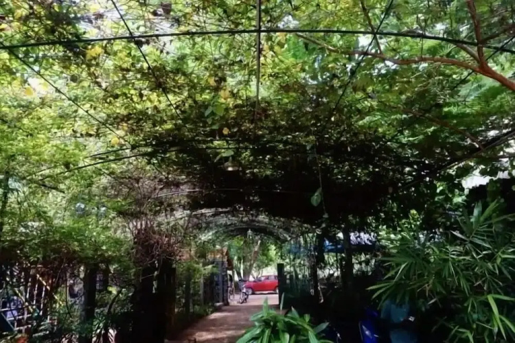 Green's Guesthouse