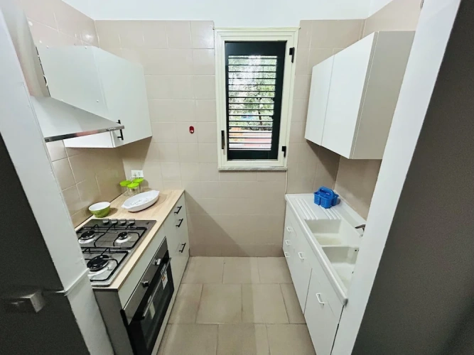1 Bedroom Standard Apartment