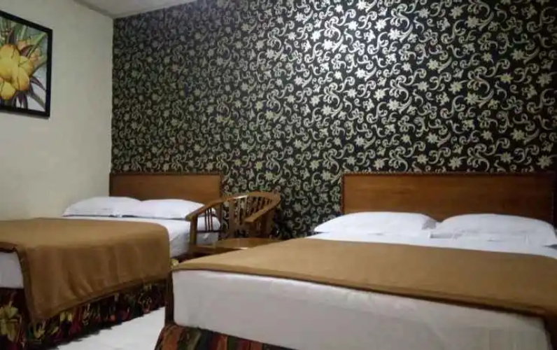 Hotel Wiena