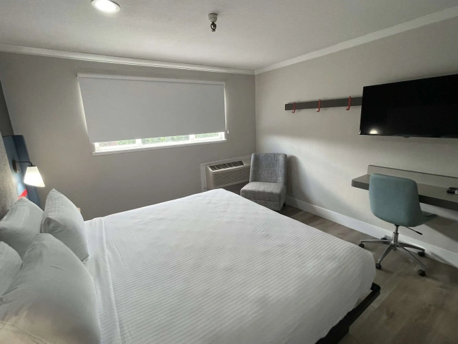 Quadruple Suite