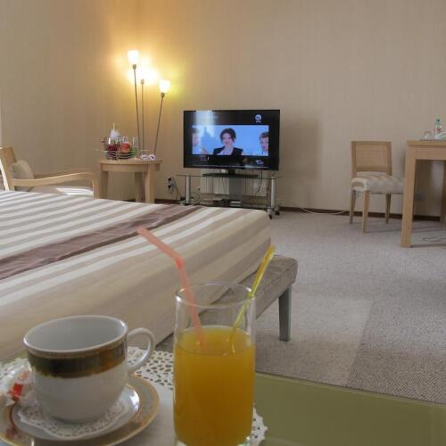 Фотография номера гостиницы Персона