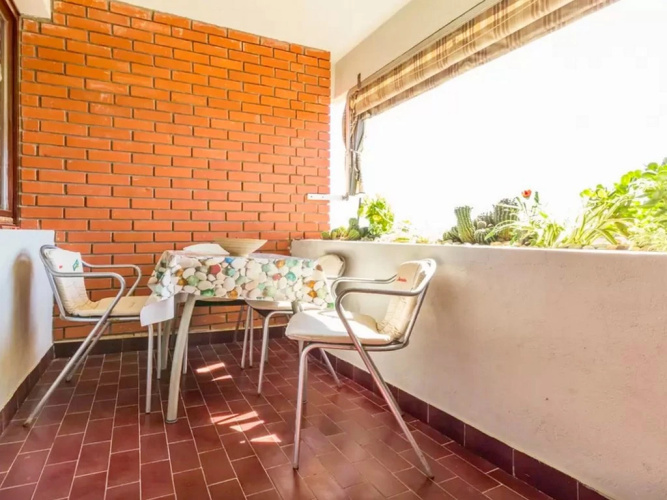 Apartment Palcic