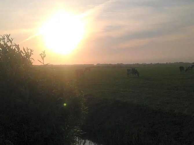 B&B Ben in Broek