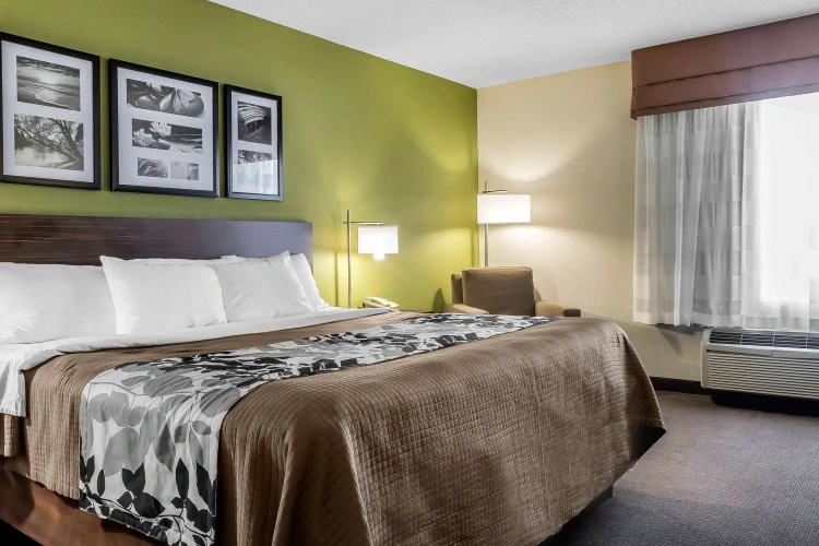 Standard Double room