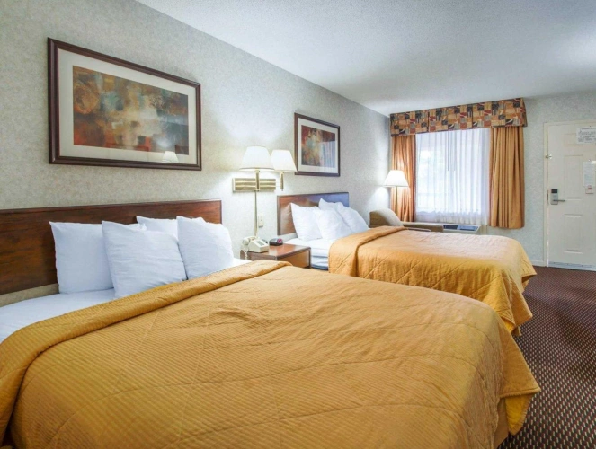 Standard Quadruple room