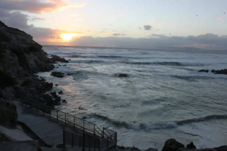 SEAesta