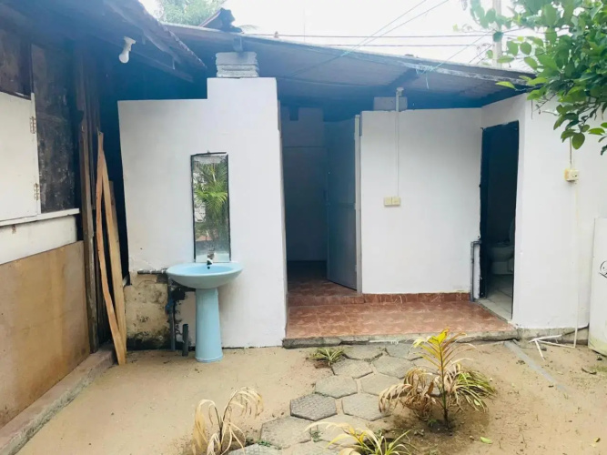 Lemon Tree Hostel