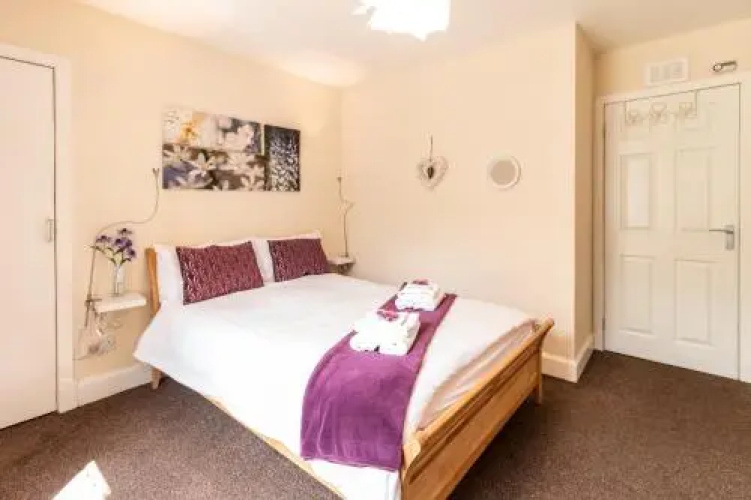 Mycosy Lorimer 17