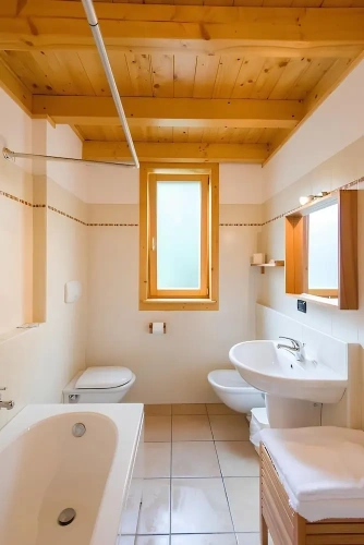 Comfort Apartment with lake view