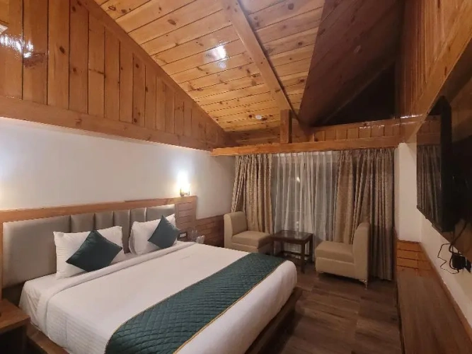 1 Bedroom Suite