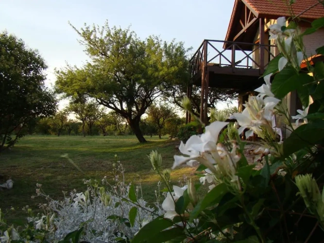 Cottage