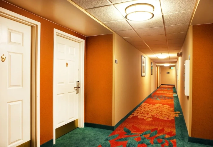1 Bedroom Suite