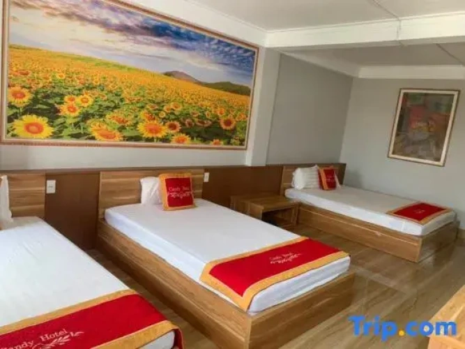 Standard Triple room