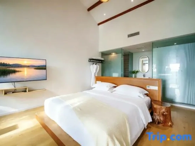 Standard Double room with courtyard view
