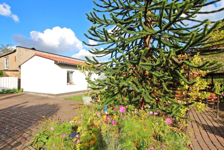 1 Bedroom Cottage