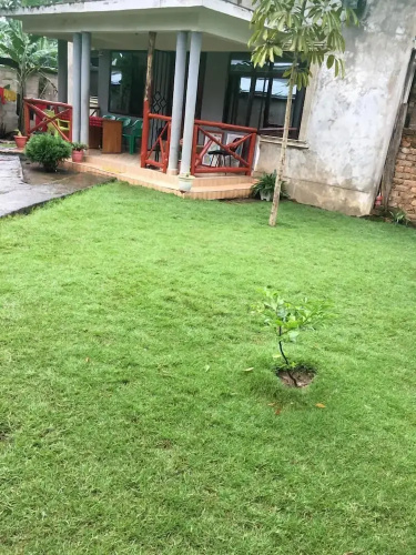 florah home stay
