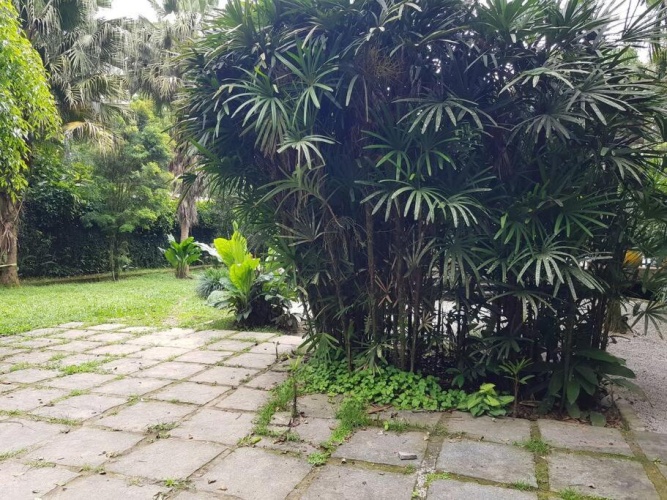 Outside
