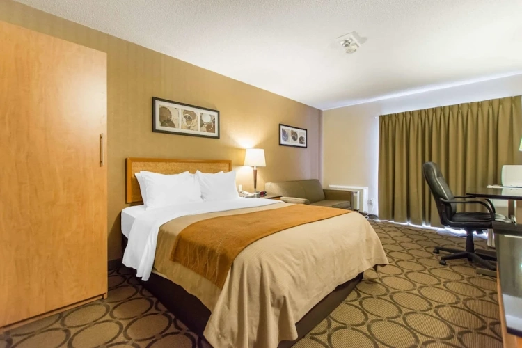 Comfort Double Basement room