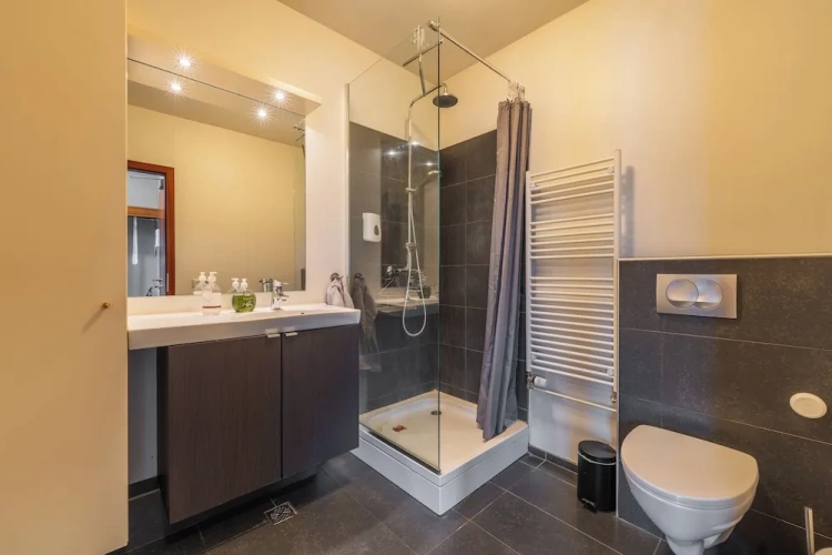 Comfort Apartment