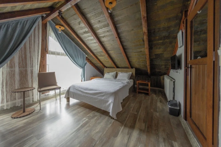 Standard Double room with river view