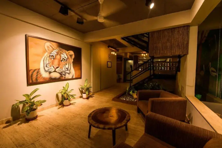 Safari Quest