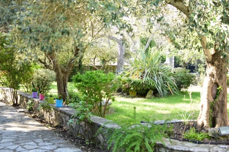 Cottage
