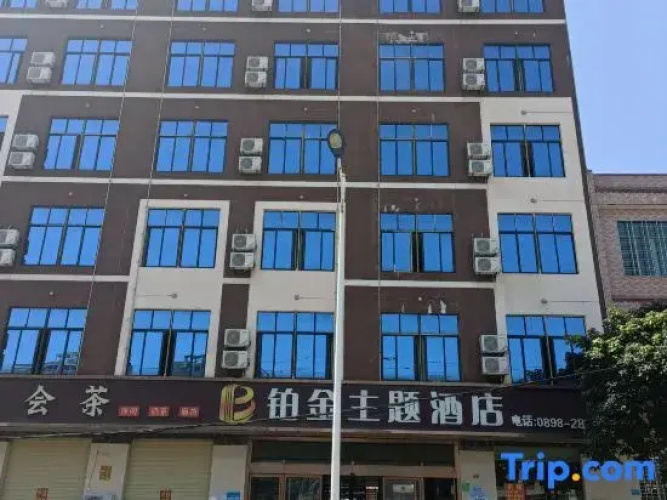 Platinum Theme Hotel