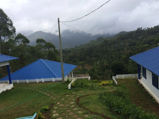 Lilies@Munnar