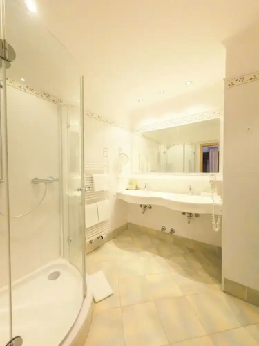 Premium Double room with balcony and with mountain view