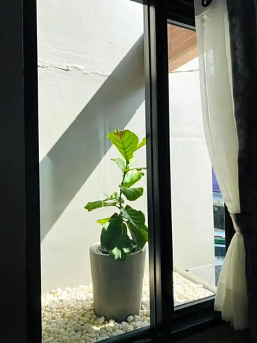 Little One Hostel