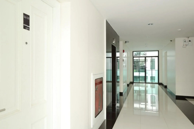 Luxury 3 Bedroom Apartment - B