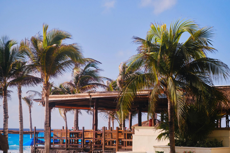 NYX Cancun photo 35