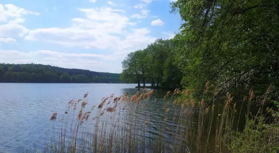 Camping Ukiel