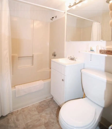 Standard Suite