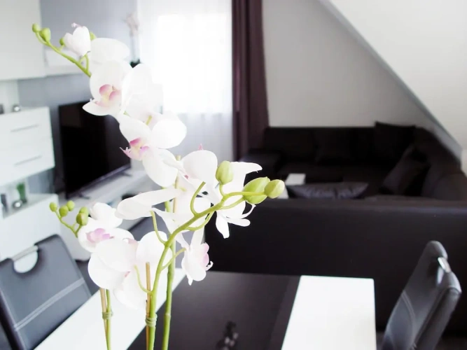 1 Bedroom Premium Apartment with garden view